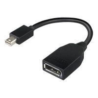 Lenovo DisplayPort-Adapter - Mini DisplayPort (M)