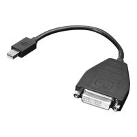 Lenovo DisplayPort-Adapter - Single Link - Mini DisplayPort (M)