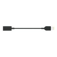 Lenovo USB-C to Slim-tip Cable Adapter - Adapter für Power Connector