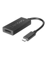 Lenovo USB/DisplayPort-Adapter - 24 pin USB-C (M)